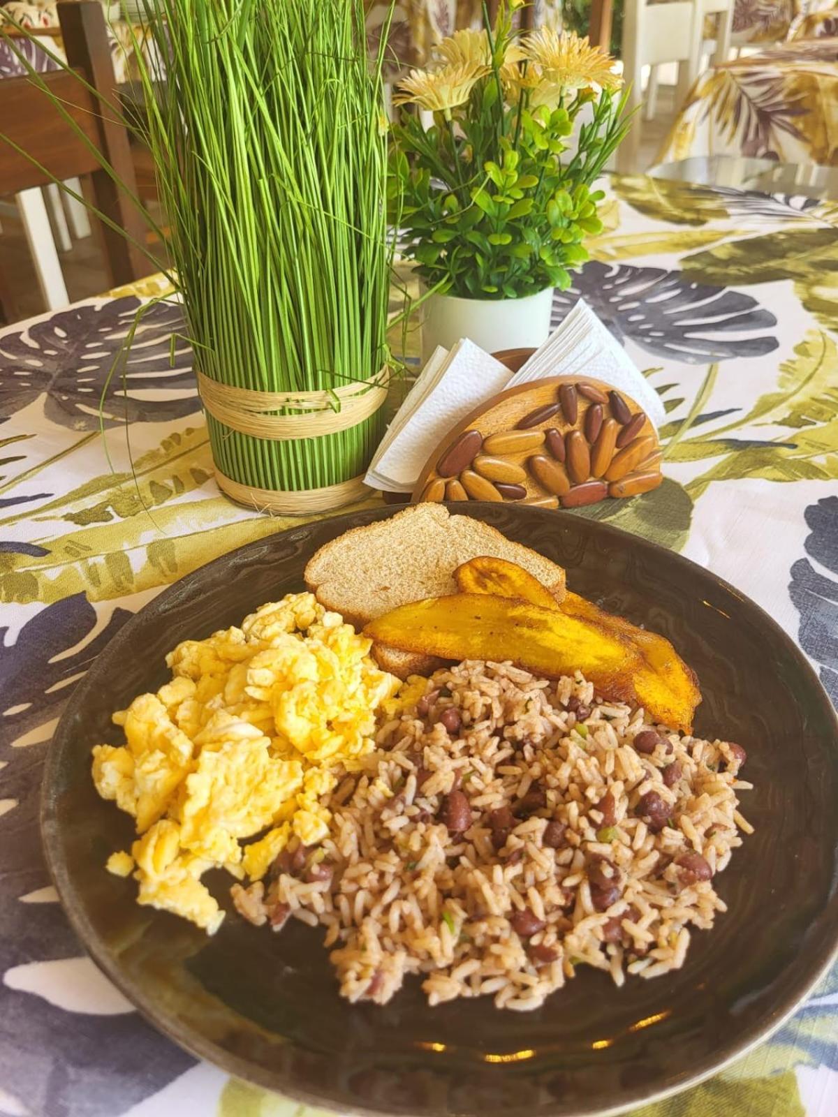 Casa Bohoe Puerto Viejo de Talamanca 외부 사진
